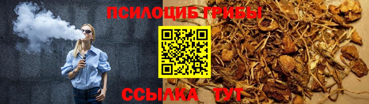 Псилоцибиновые грибы прущие грибы  Вход с VPN  Галлюциногенные грибы MAGIC MUSHROOMS  Павловский Посад 