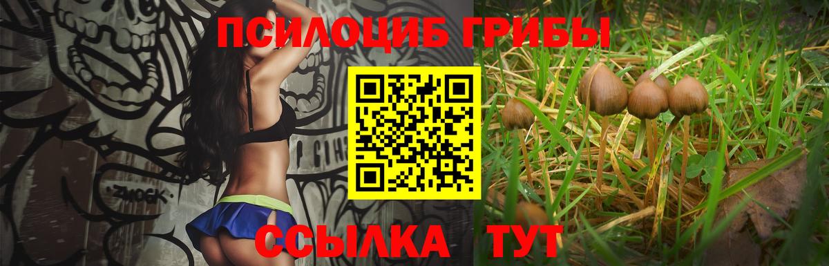 Псилоцибиновые грибы Magic Shrooms Павловский Посад